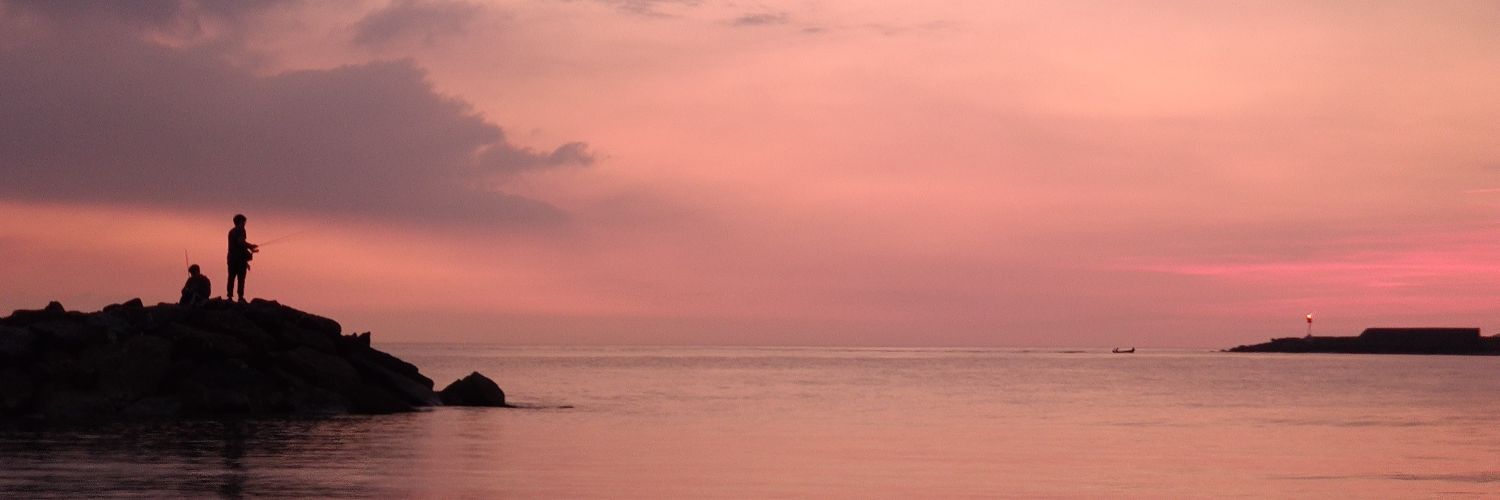 soypacogm's profile banner image
