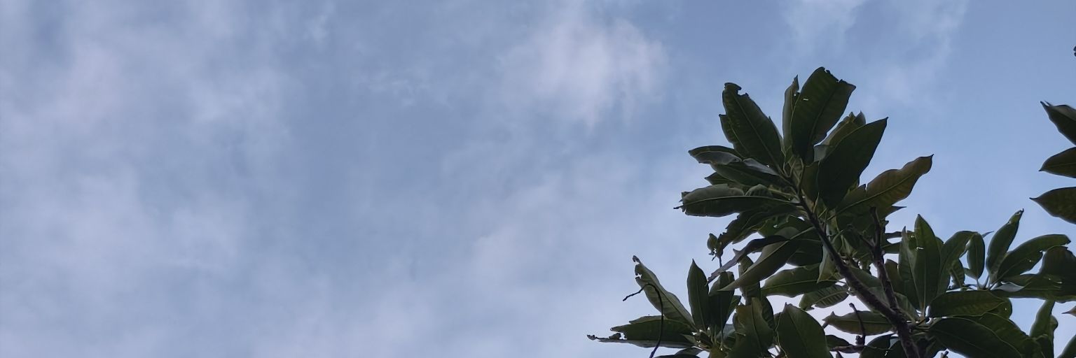 EvansPranata_EP's profile banner image