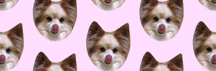 53Papi's profile banner image