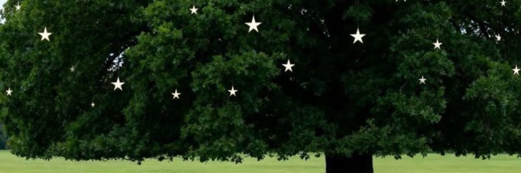 ˖ ⊹ banner