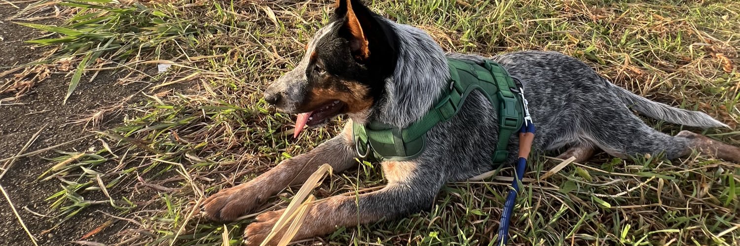 Juan O. Perez Ojeda banner