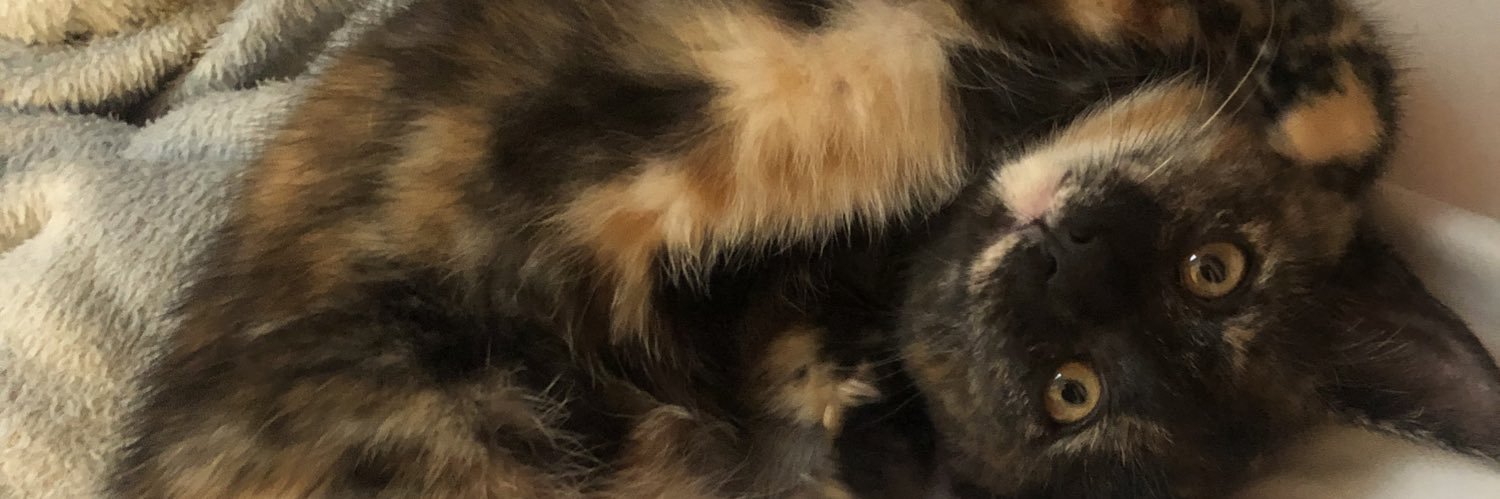 romygrpn's profile banner image