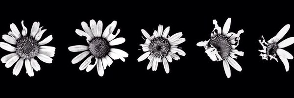 Maryalexb_'s profile banner image