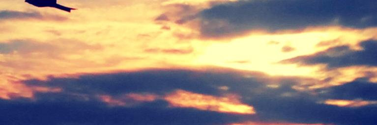 mesarveshsh's profile banner image