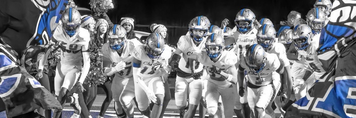 Akoree (Twin) Walker banner