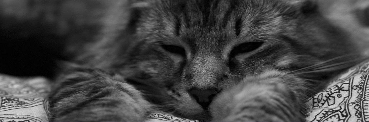 lamenie_'s profile banner image