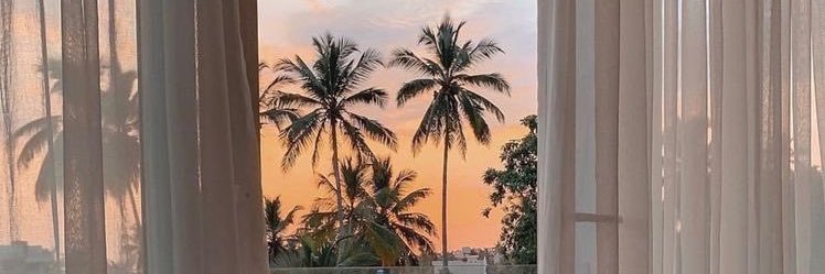SerayKurnazz's profile banner image