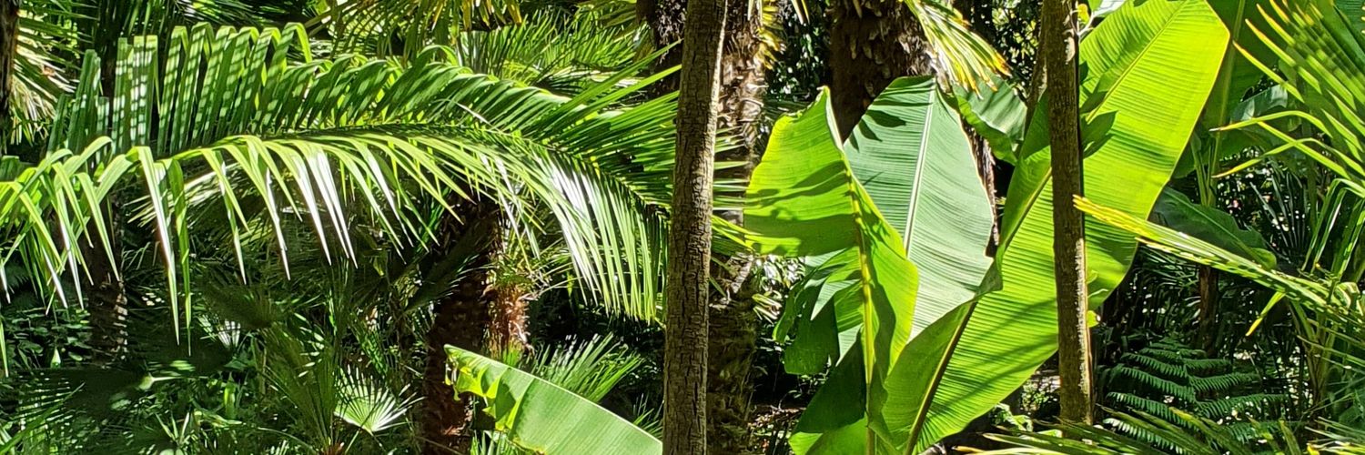 LeMalienInconnu's profile banner image