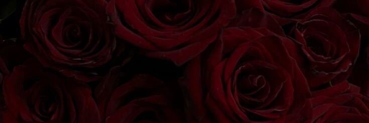 lov banner