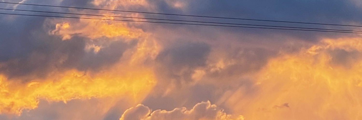 Ворончара 🐦‍⬛ banner