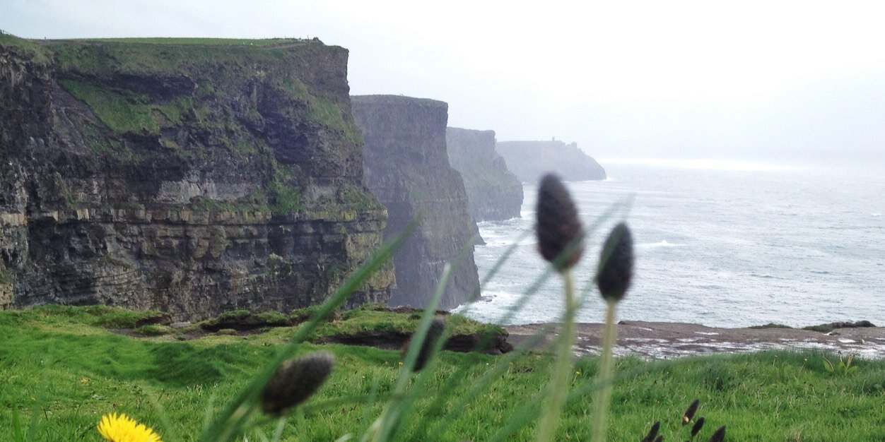 Valeria R. McFarren banner