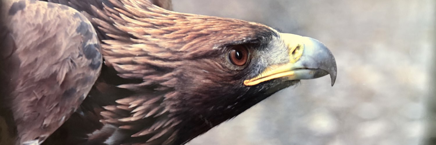 ehsanbme's profile banner image