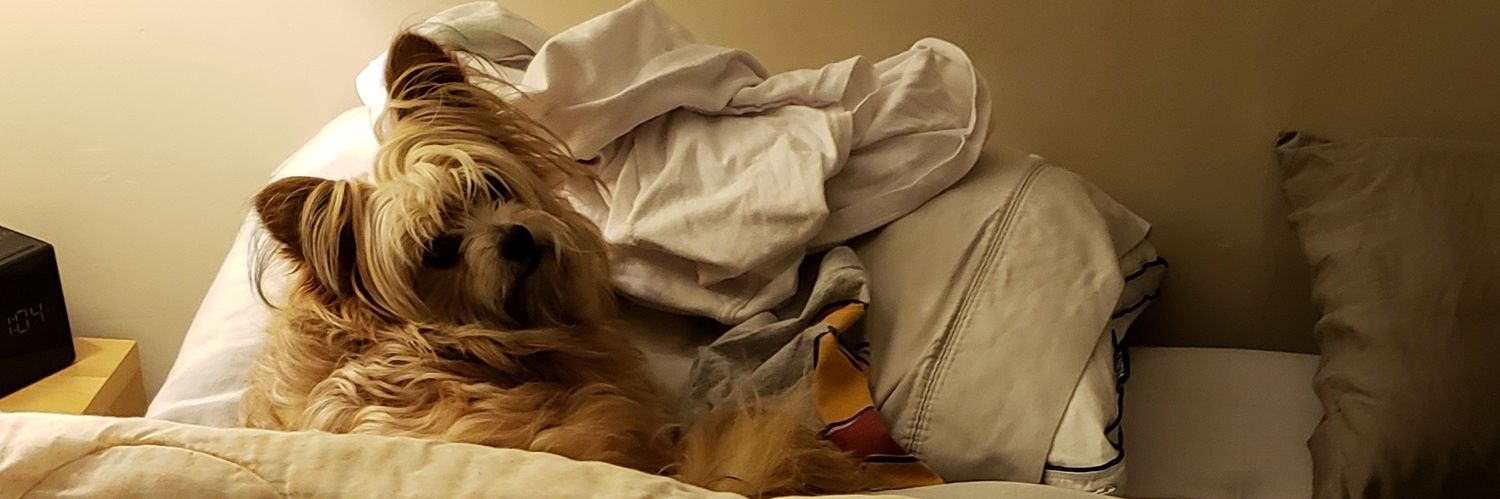 daboo9's profile banner image