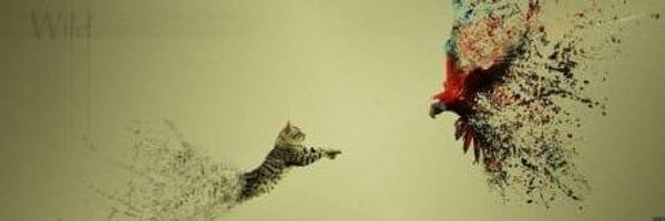 LeoneLuna Profile Banner