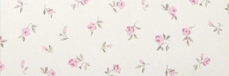 gojimoon's profile banner image