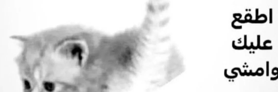 901MP's profile banner image
