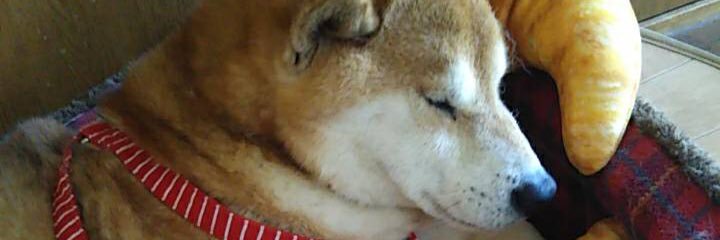 9Comb's profile banner image