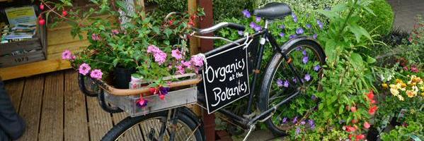 Bike_Sale's profile banner image