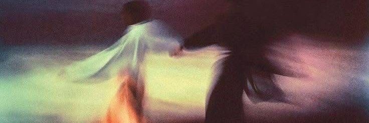 softiecatto's profile banner image