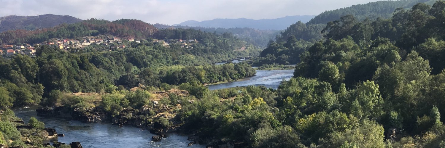 Alison Dillon banner