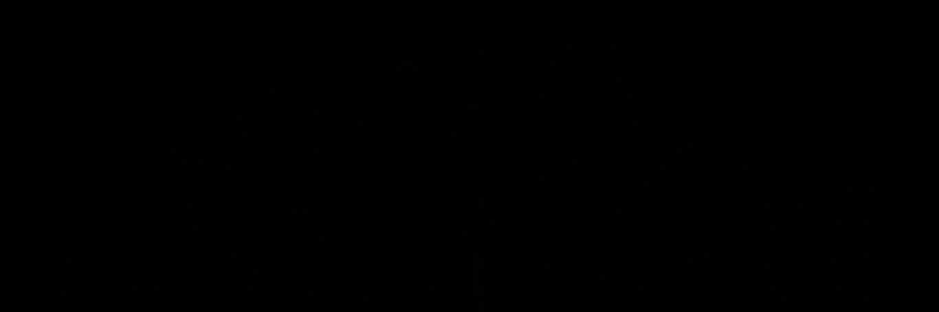 nlsim 🌩 banner