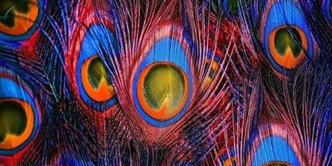 TasyaAuliaF's profile banner image