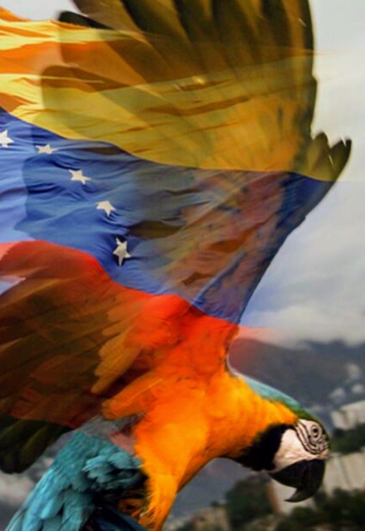 miteayad's profile banner image