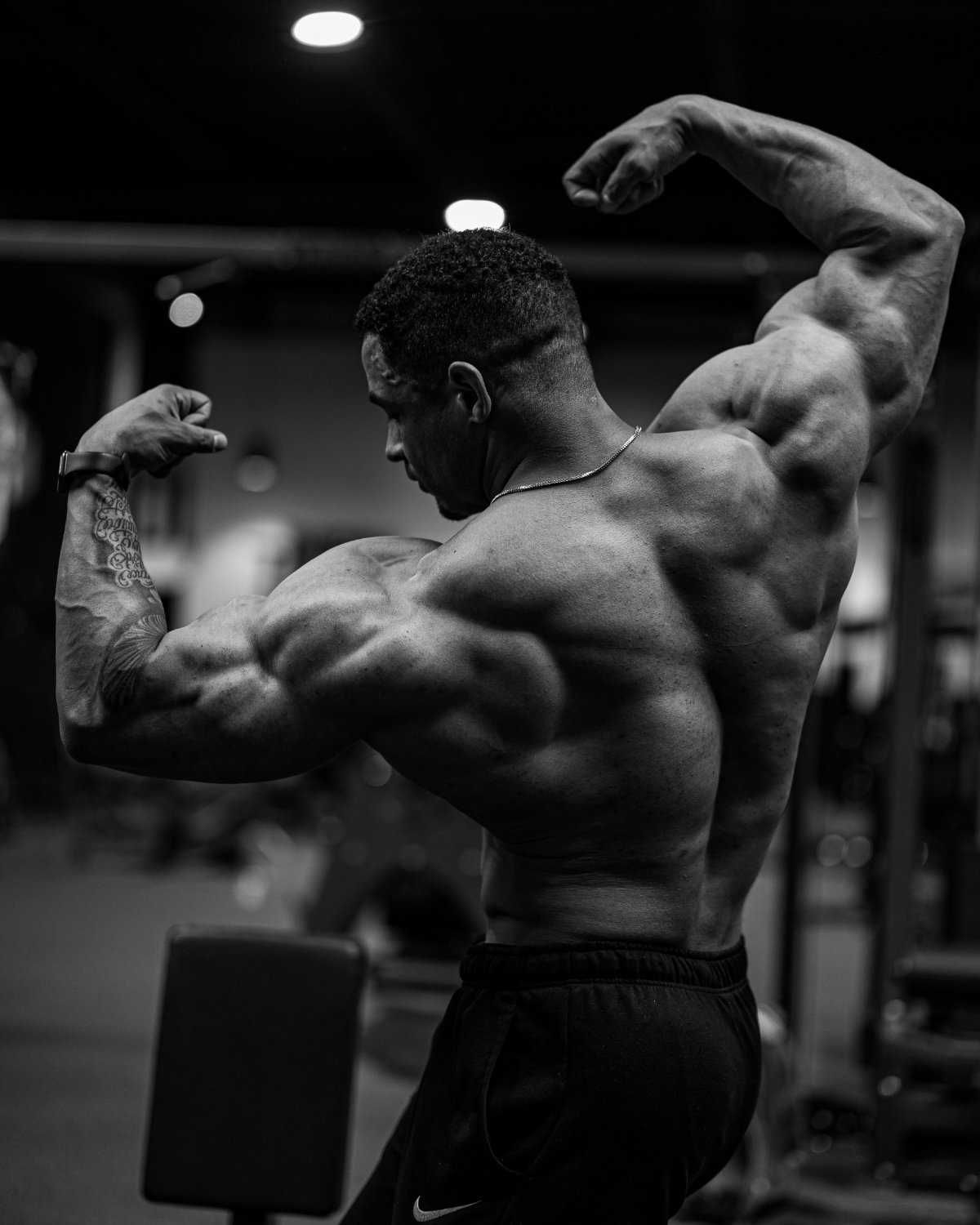 BeastModeFitness - Muscle | Strength | Aesthetic banner