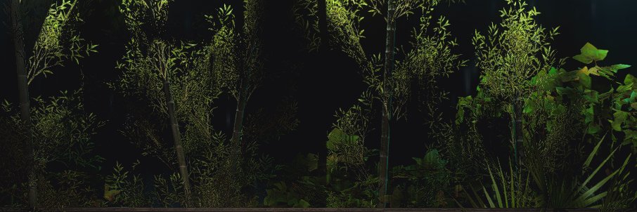 ⋆˙⟡ banner