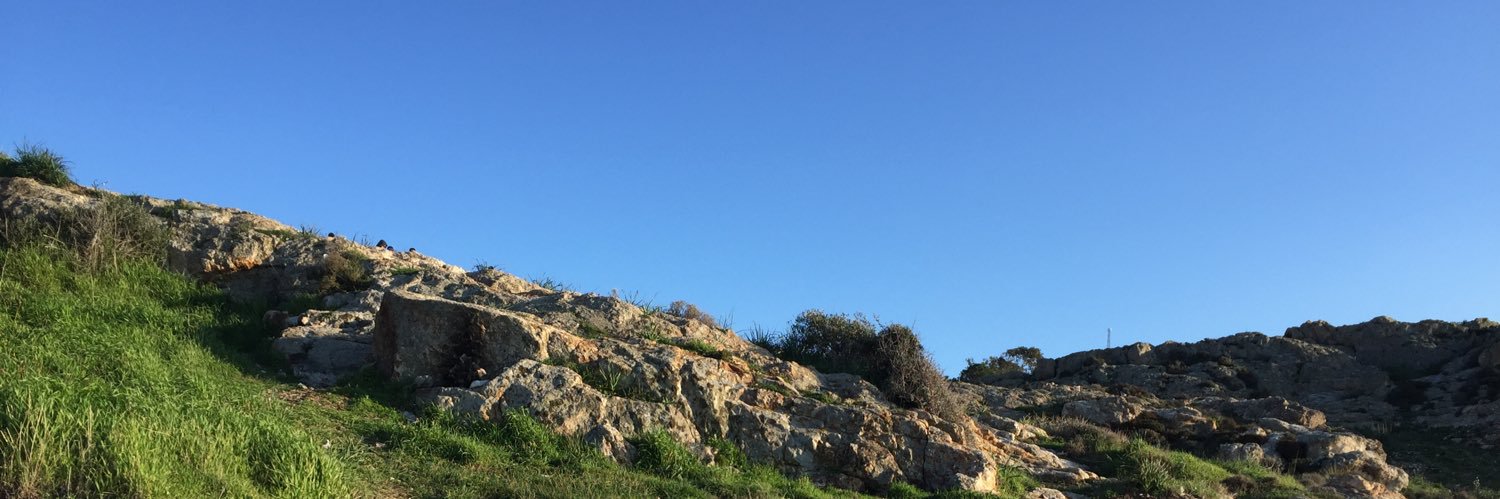 sizoreco's profile banner image