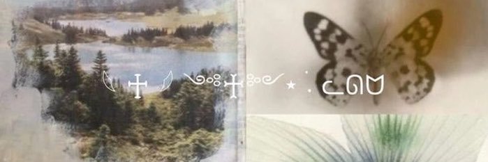 soufqi's profile banner image