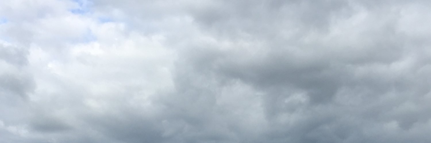 lisevarrette's profile banner image