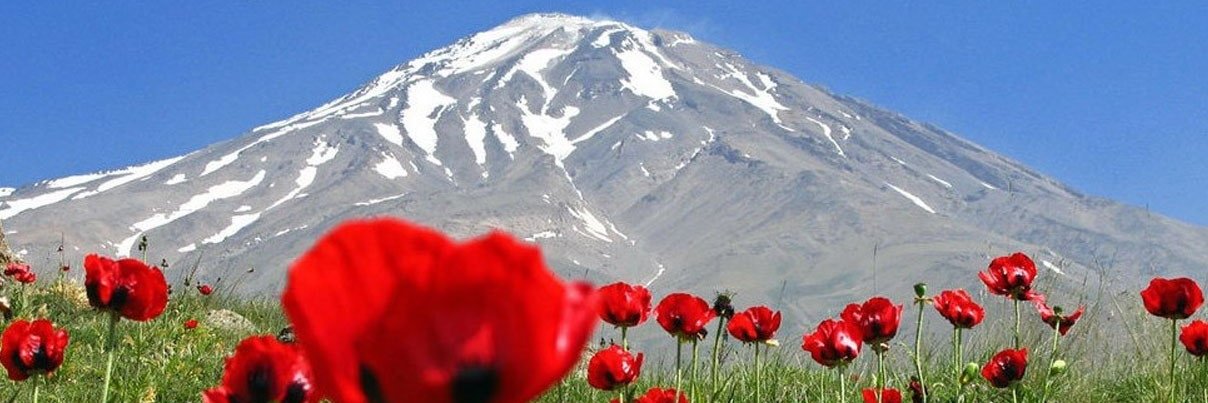 AkhavanReza's profile banner image