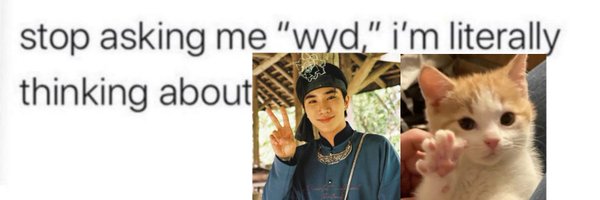 kittyperth Profile Banner