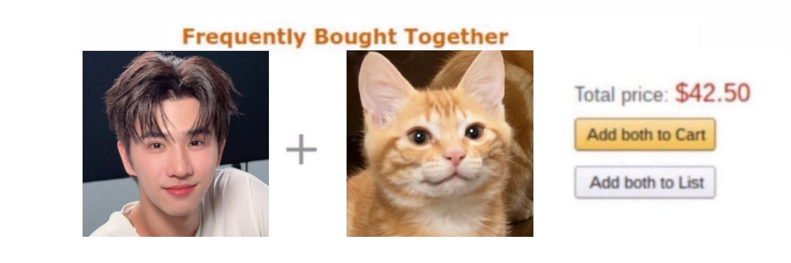 meowperth thinker 💭 banner