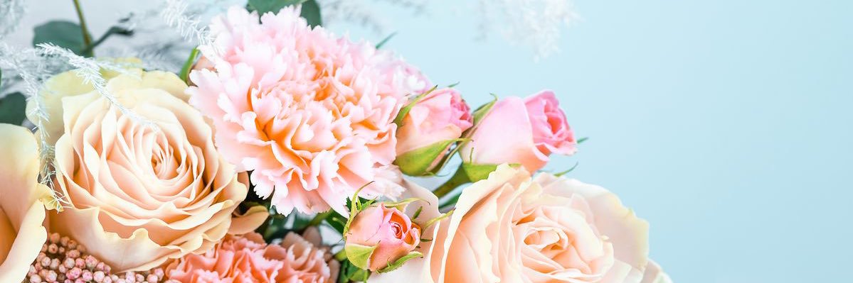 BACIOBELLA's profile banner image
