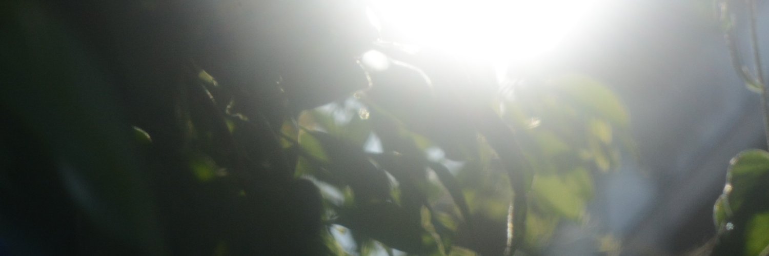 from_you_0817's profile banner image