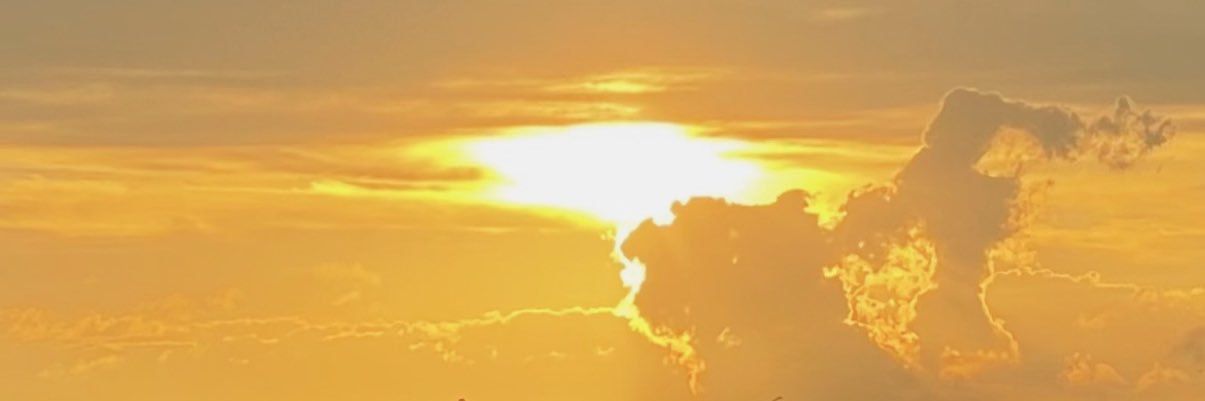 Kelly D’Amaral banner