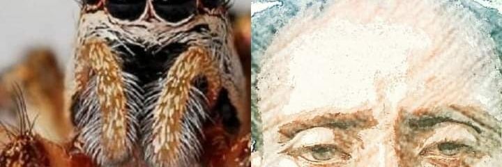 beady_Bob's profile banner image