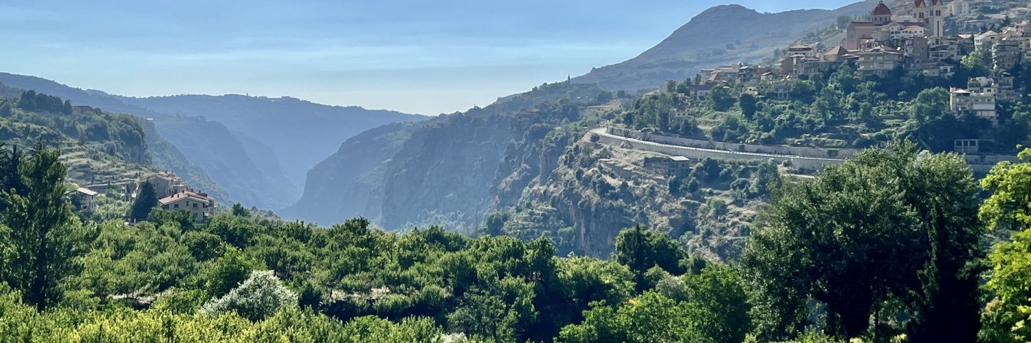 Elie Fares banner