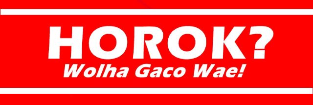 Horoook_'s profile banner image