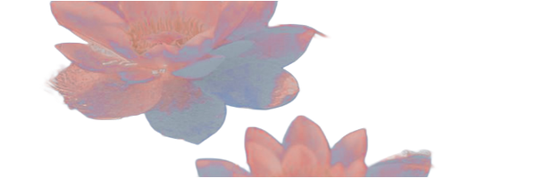 prfectswim Profile Banner