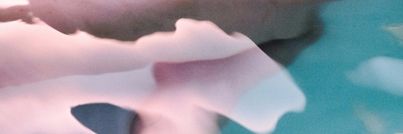 Ana Pradas banner