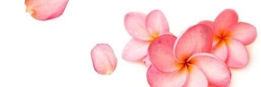 mw_rr_89's profile banner image