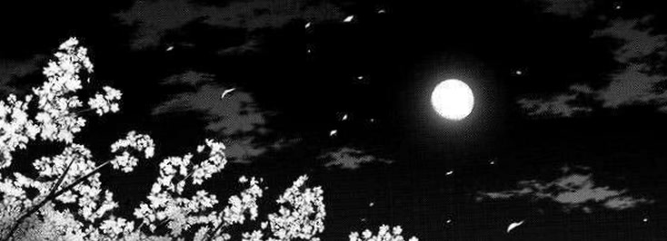 nemesisluna60's profile banner image