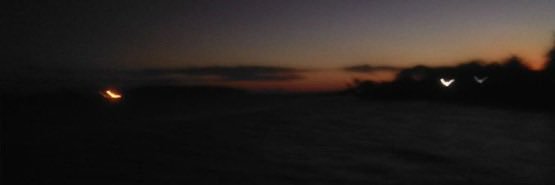 y. banner