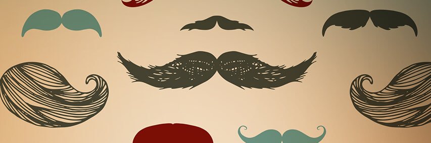 mirmoeini's profile banner image