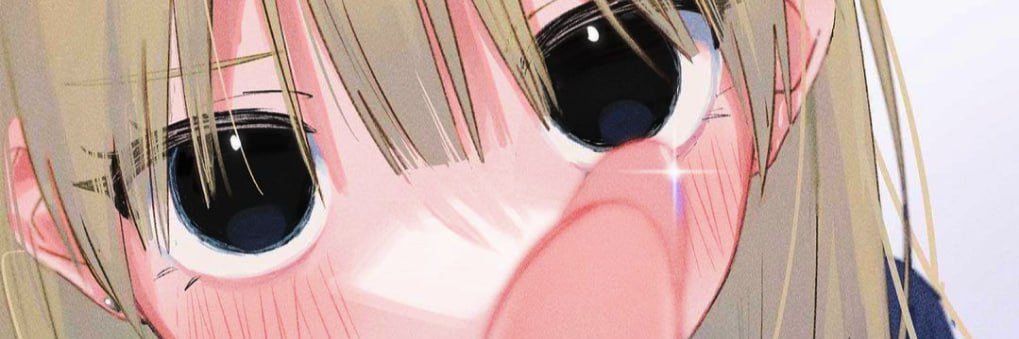 schrodinger’s foid banner