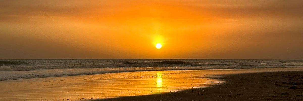 fdtrch's profile banner image