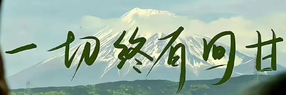 被鲨害🍟 banner